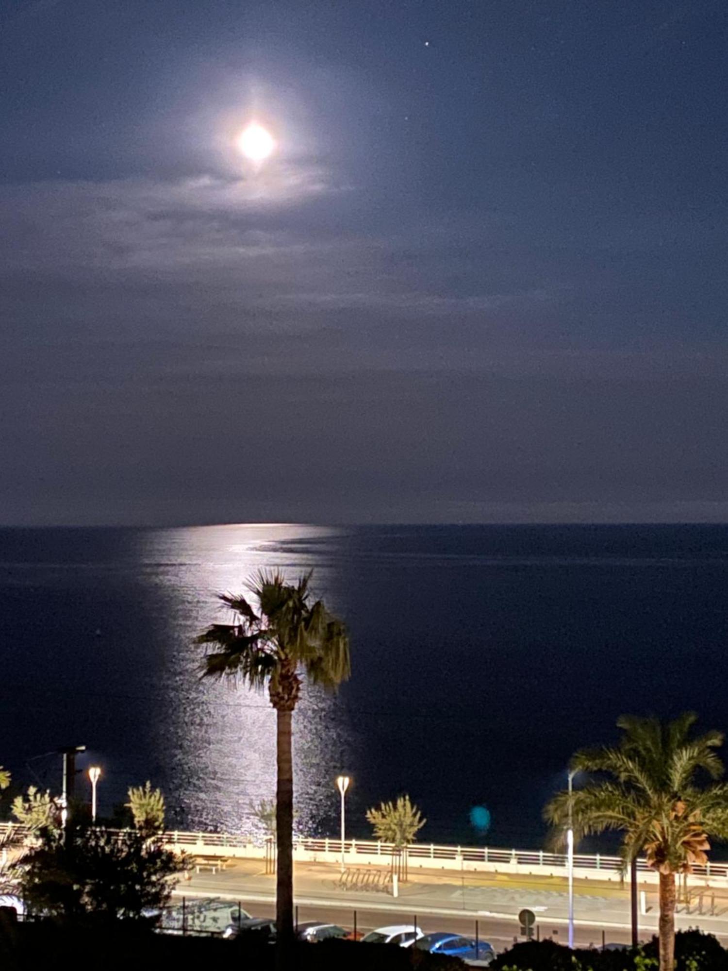 Bord De Mer, Terrasse, Tout A Pieds Cannes Kültér fotó